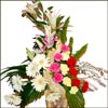 Joyous Sparkles - Click here to View more details about this Product